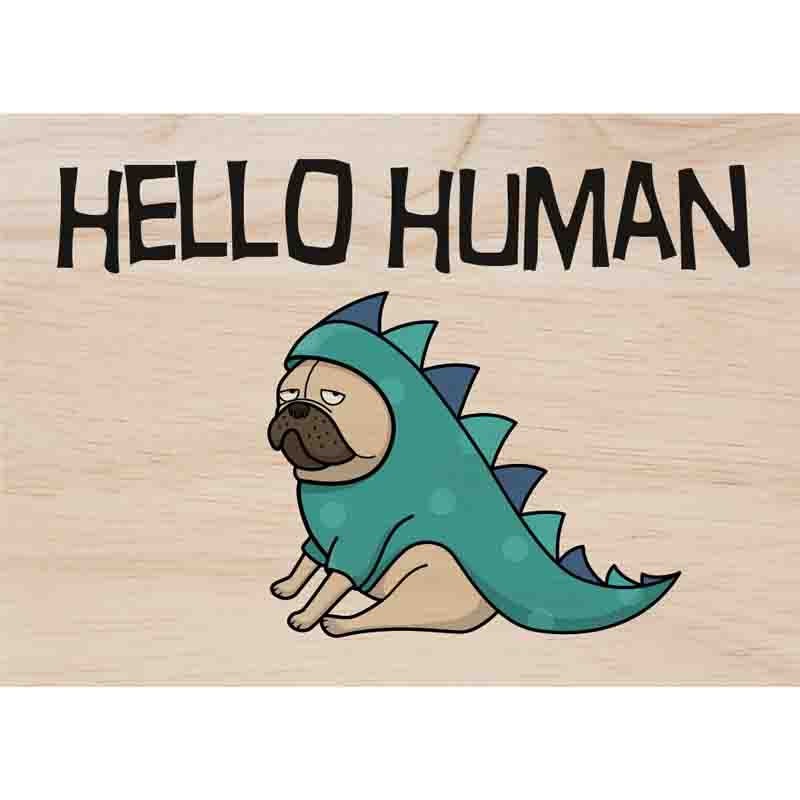 Woodcardz - Hello human