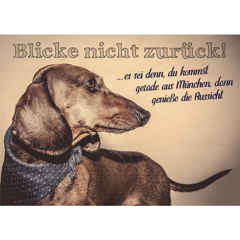 Tinycardz - Blicke zurück