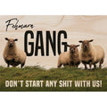 Tinycardz - Fehmarn Gang